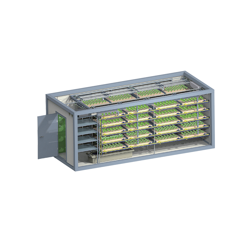 Solaris plantationis continens