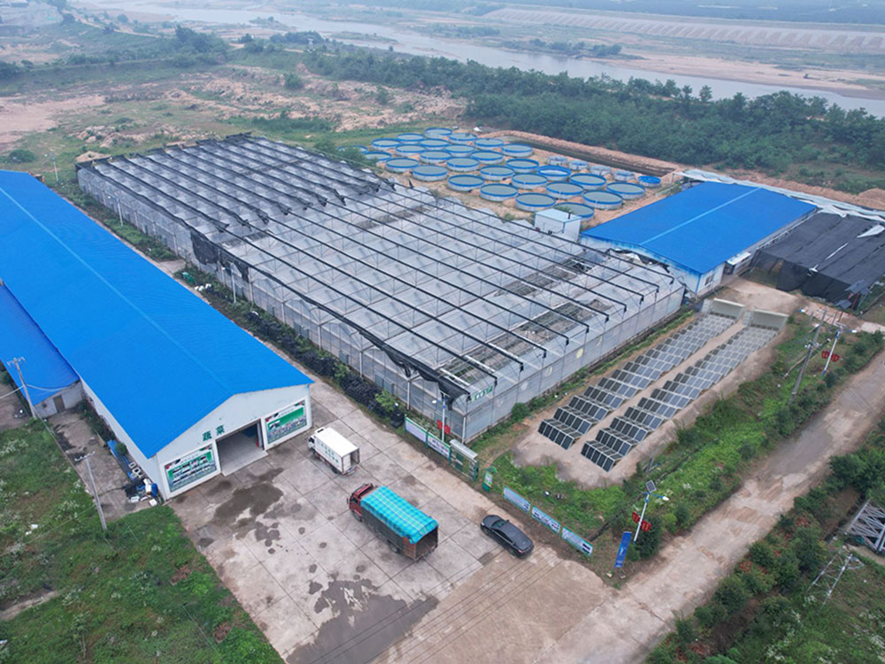 Solar Power Containers for Sui provisum potentia copia