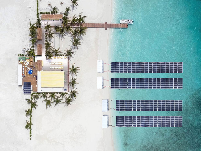 Solaris P. Continens (Natet Type)